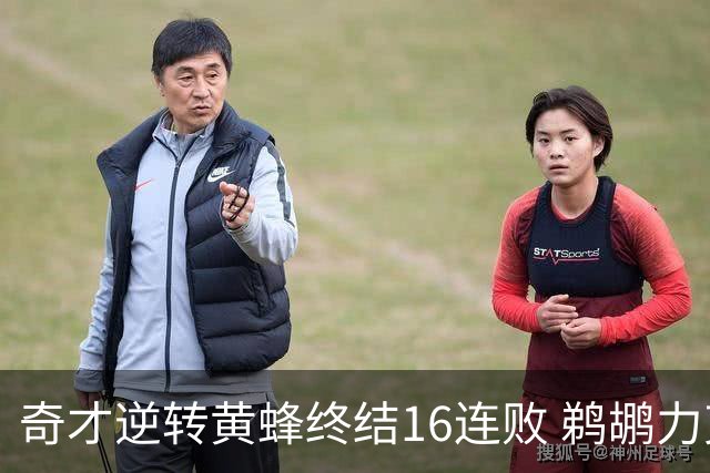 奇才逆转黄蜂终结16连败 鹈鹕力克76人3连胜